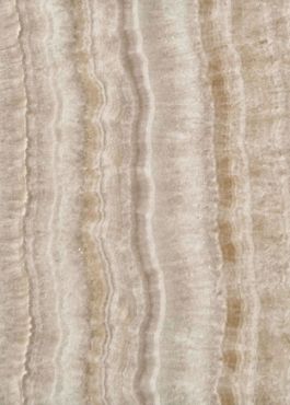 Picture of X04 DAMARLI