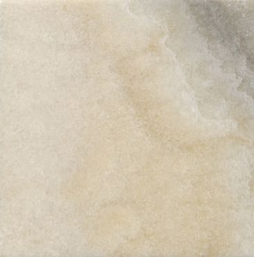 Picture of PX03 Lifora