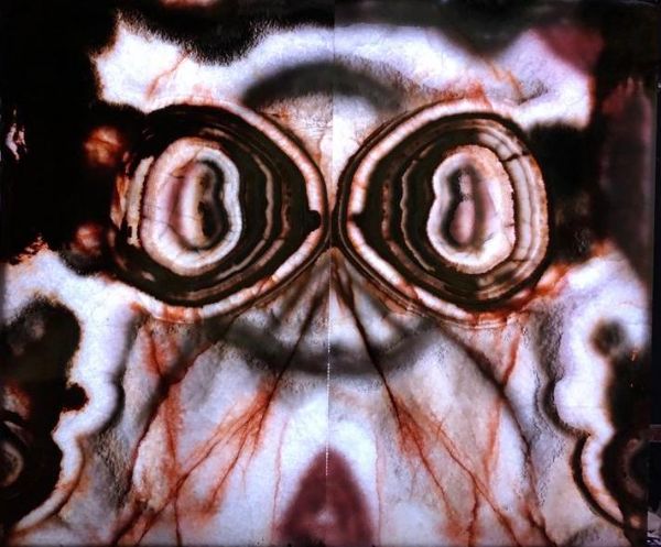 Picture of Owl Onyx